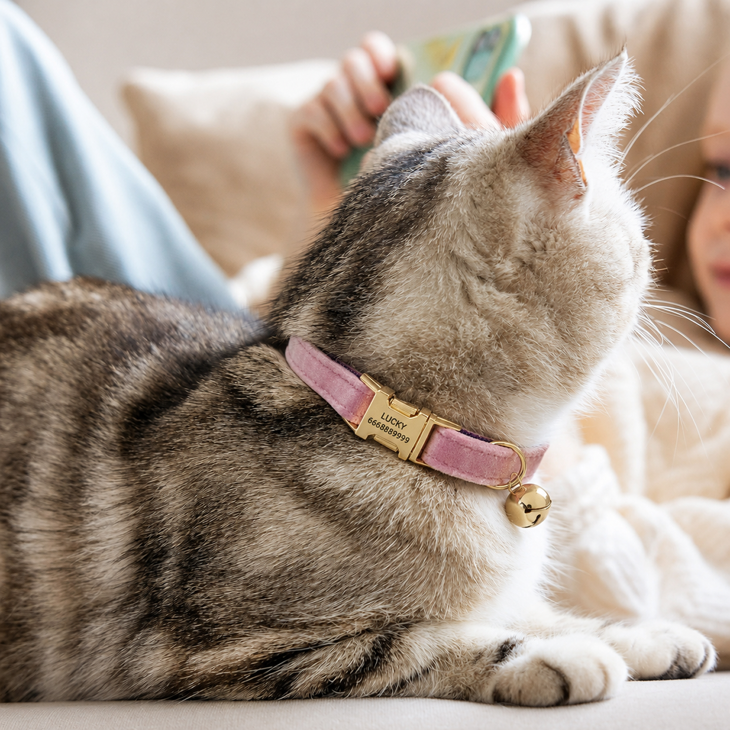 Best Pets for Small Apartments