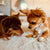 Treats