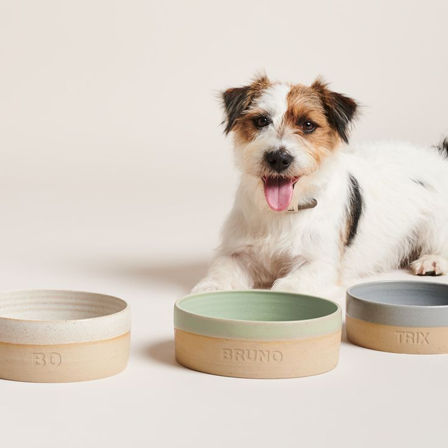 Bowls & Feeders