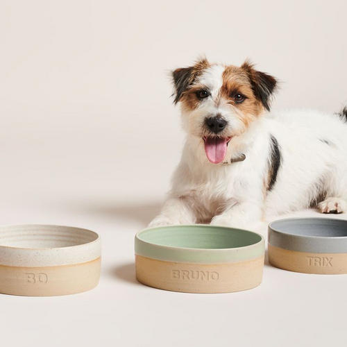 Bowls & Feeders
