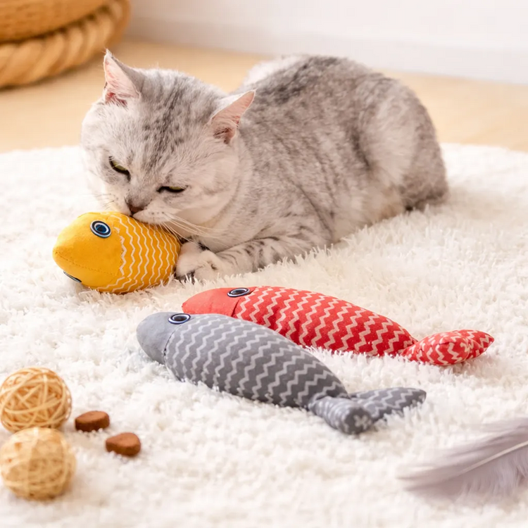 Catnip Toys