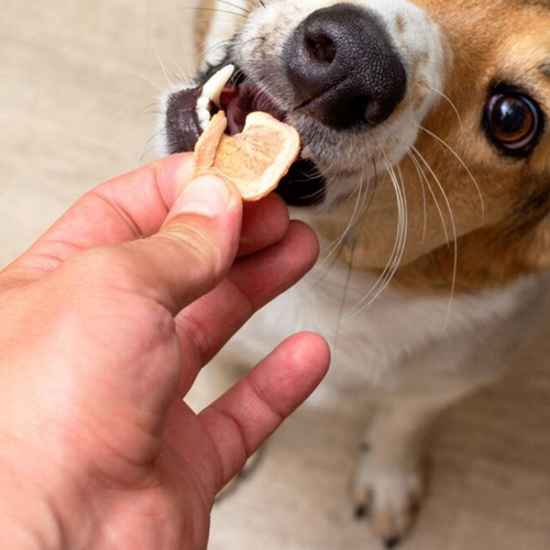 Crunchy Treats