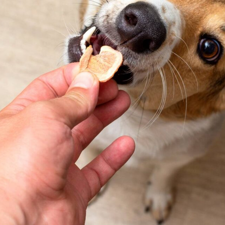 Crunchy Treats