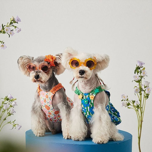 Pet Clothes