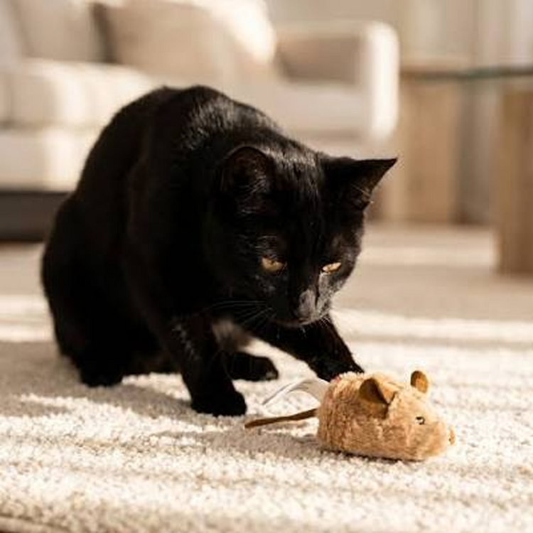 Plush & Mice Toys