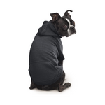 Classic Black Dog Hoodie