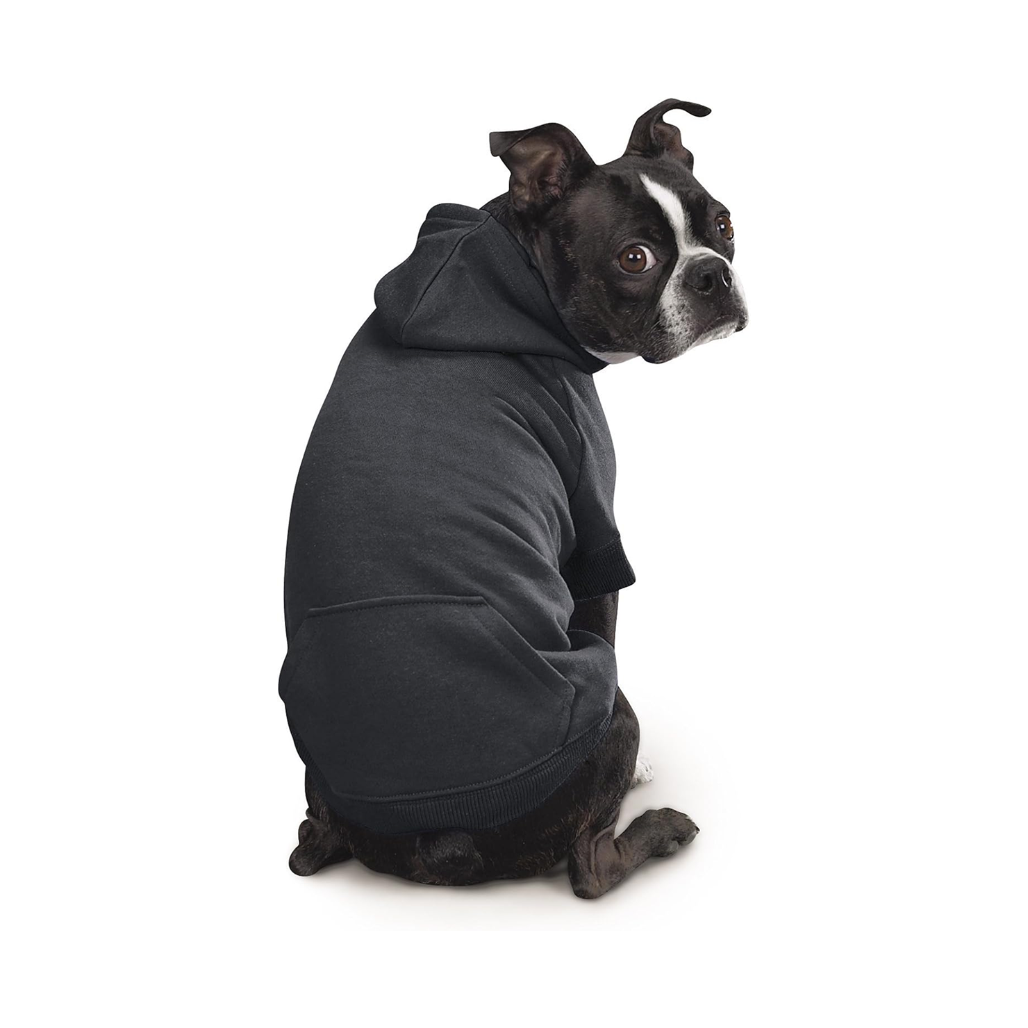 Classic Black Dog Hoodie