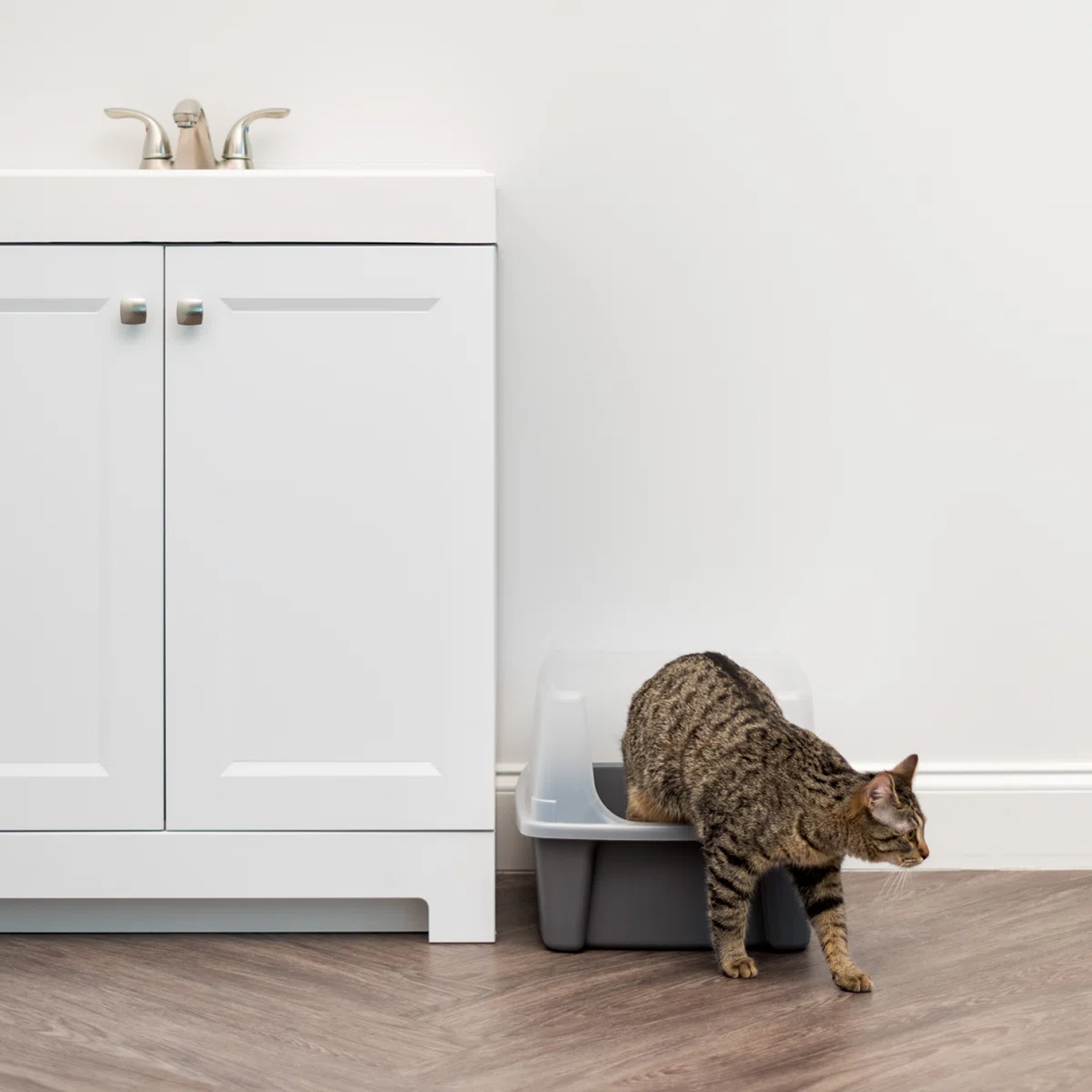 Open Top Cat Litter Box