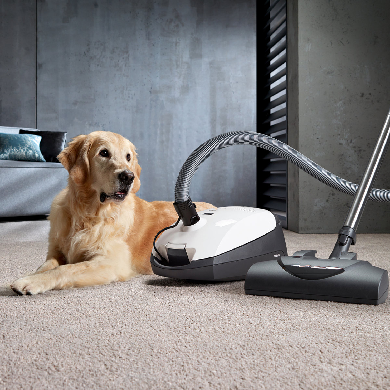 Pet Grooming Vacuum Kit