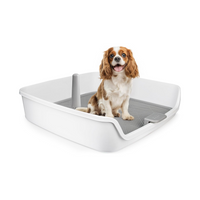 30-Inch Indoor Dog Potty Tray