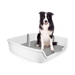 30-Inch Indoor Dog Potty Tray