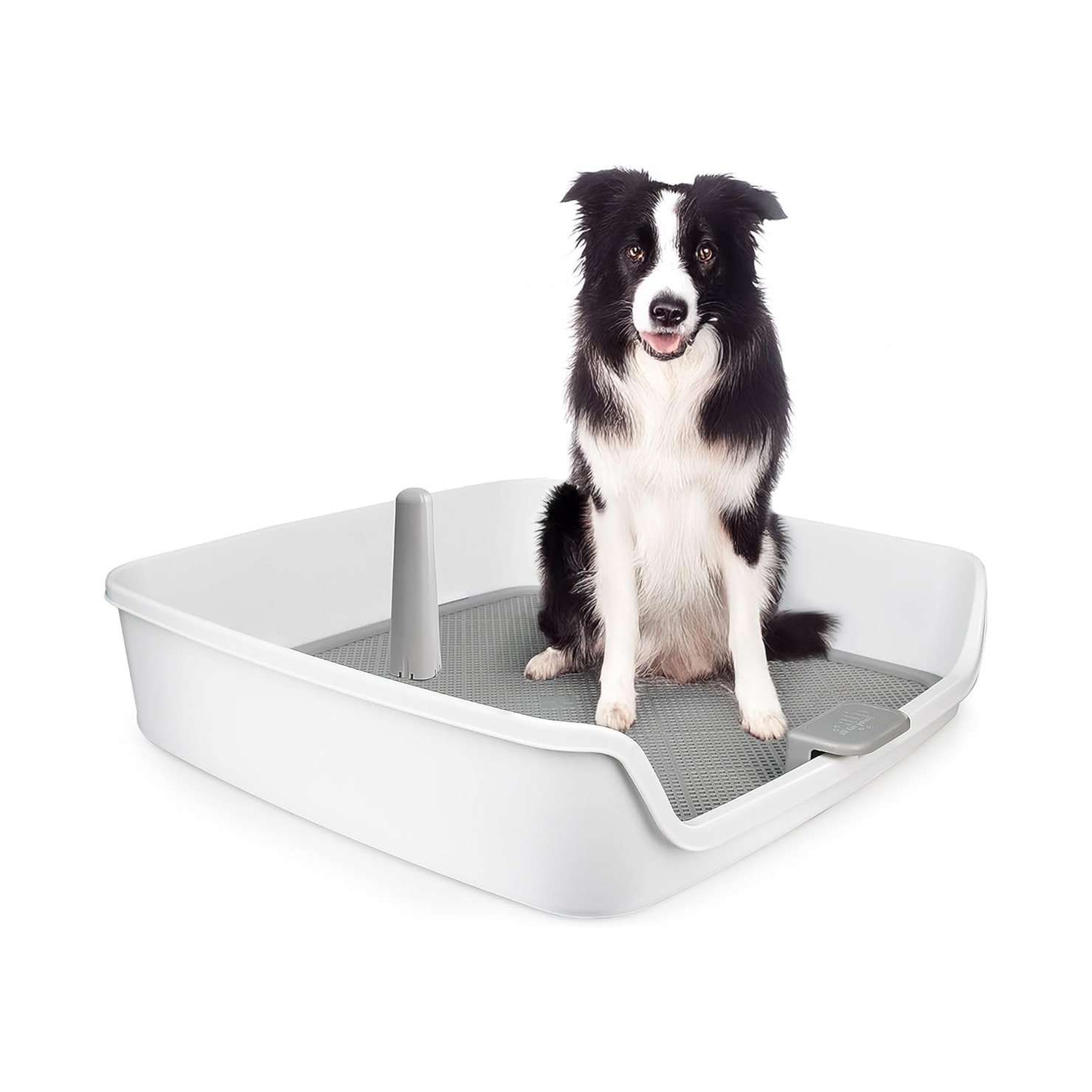 30-Inch Indoor Dog Potty Tray
