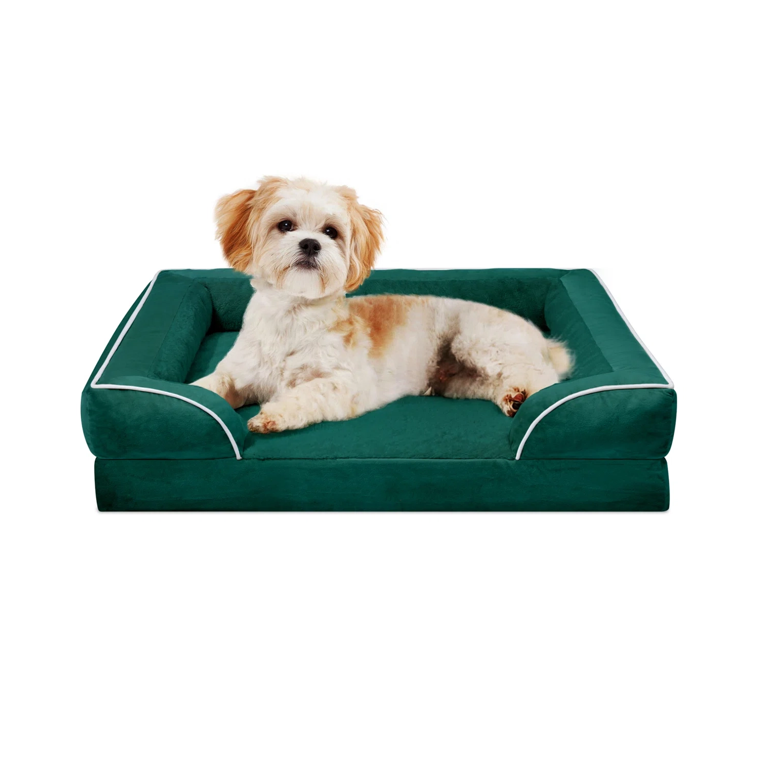 Large Dog Sofa Bed