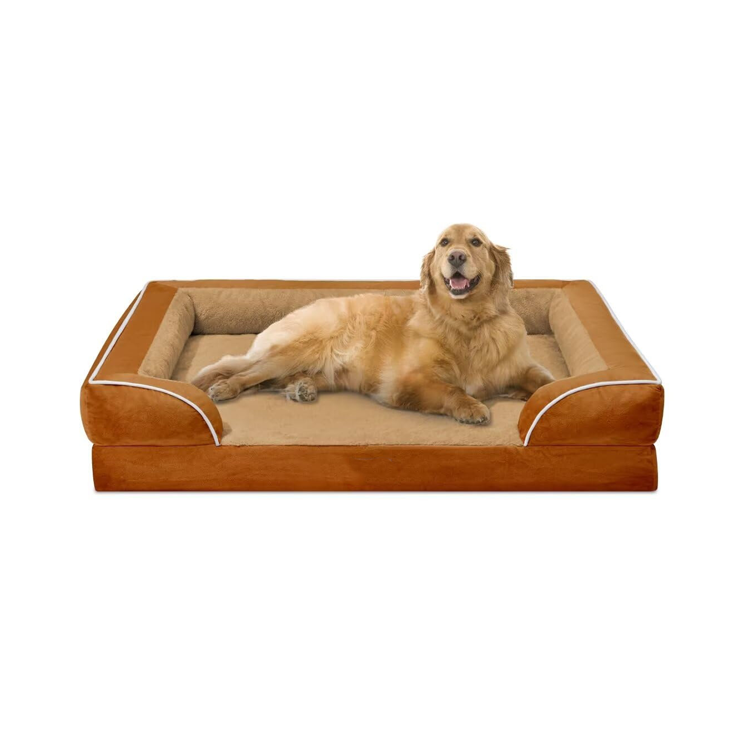 Large Dog Sofa Bed