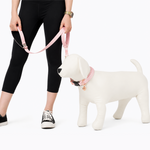 Adjustable Everyday Dog Leash