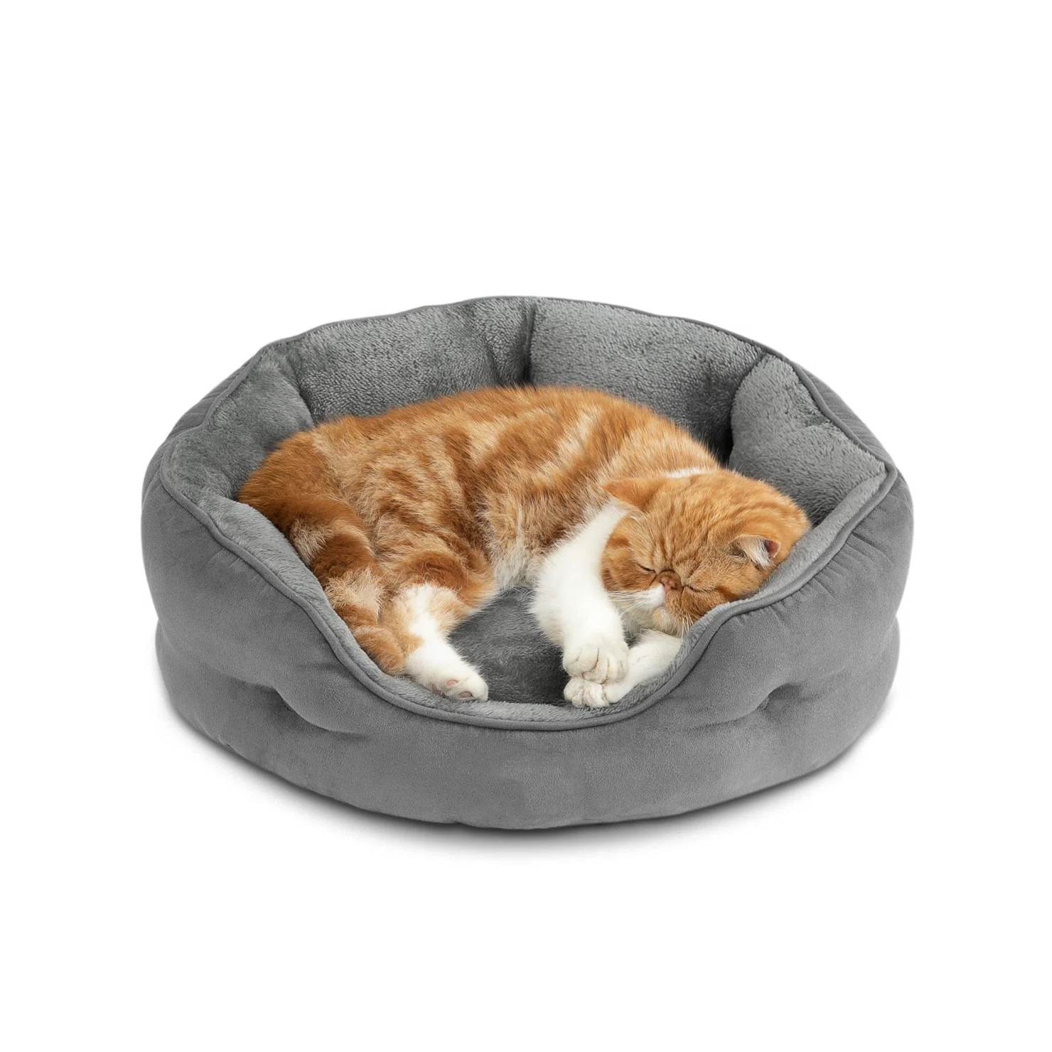 Cozy Kitten Puppy Hideaway