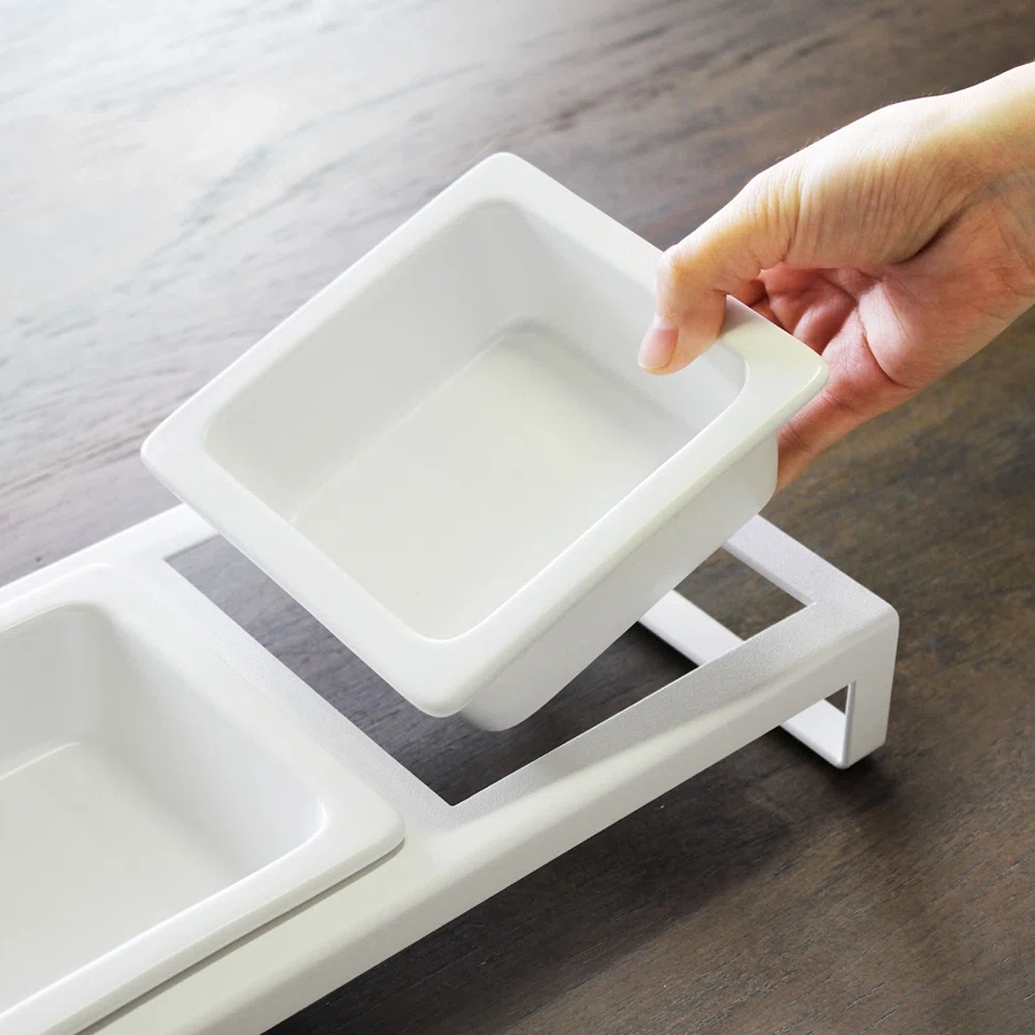 Small Everyday Dog Bowl