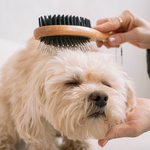 Dual-Purpose Pet Grooming Brush