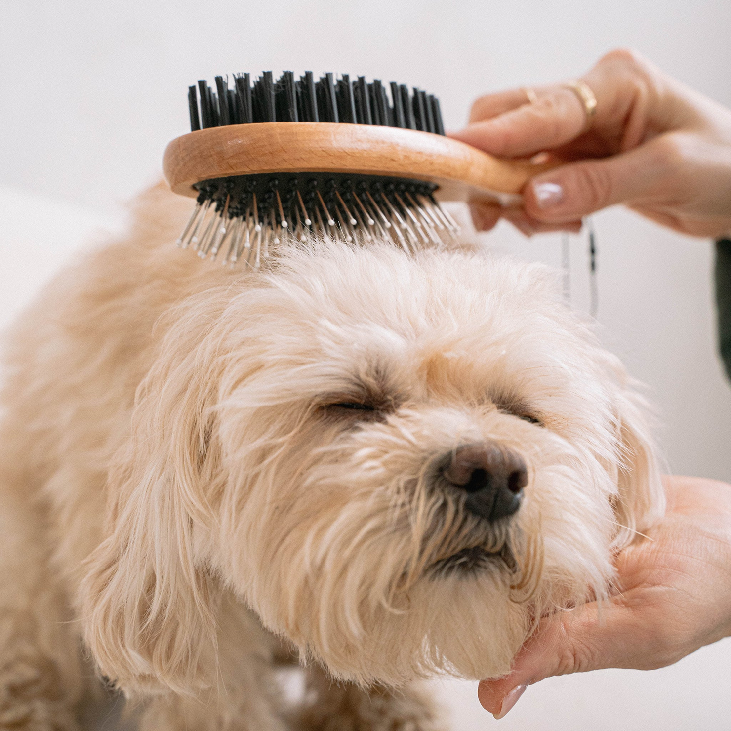 Dual-Purpose Pet Grooming Brush
