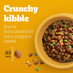 Everyday Puppy Dog Kibble