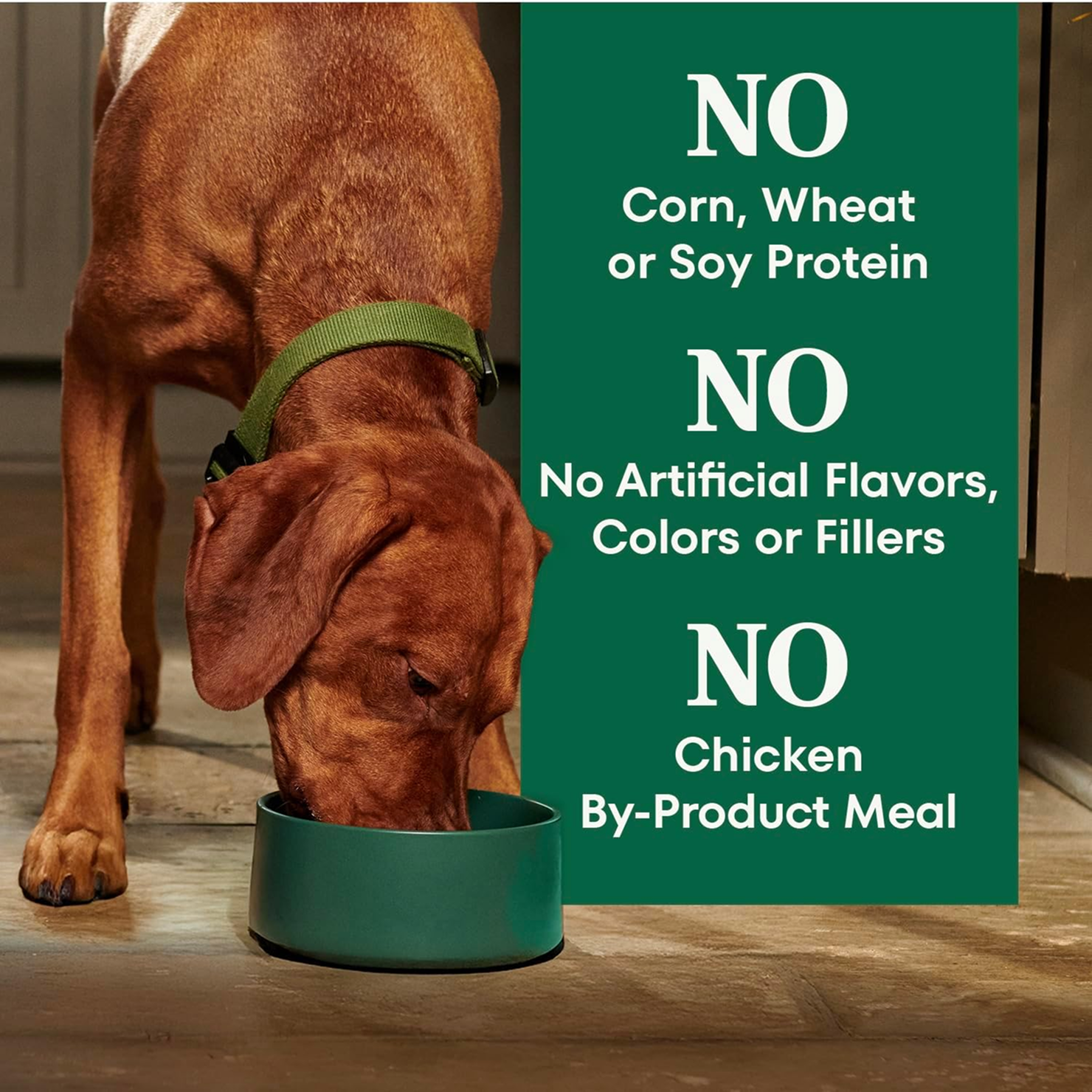 Senior Daily Dog Kibble