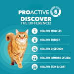 Everyday Adult Cat Kibble