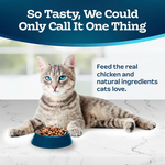 Senior Daily Cat Kibble
