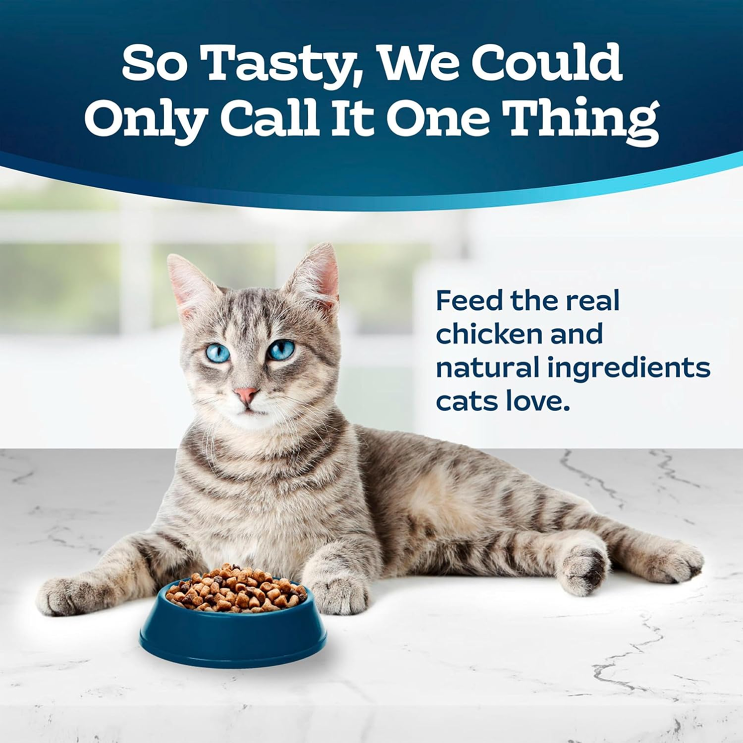 Senior Daily Cat Kibble