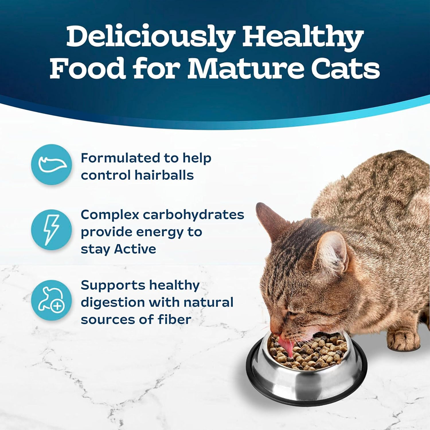 Senior Daily Cat Kibble