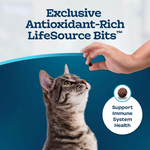Senior Daily Cat Kibble