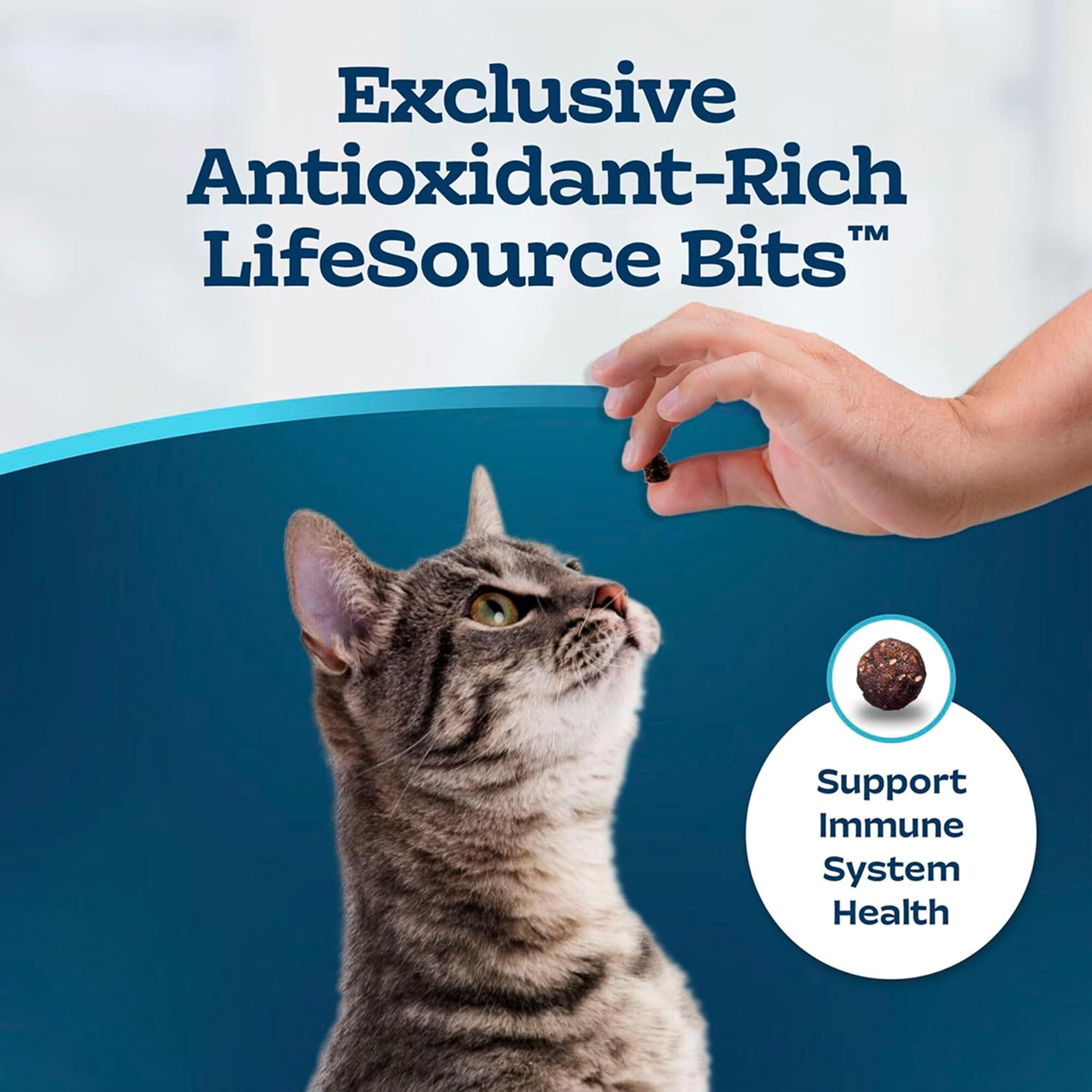 Senior Daily Cat Kibble