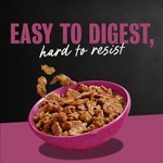 Everyday Adult Wet Dog Food