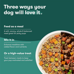 Senior Savory Wet Dog Food