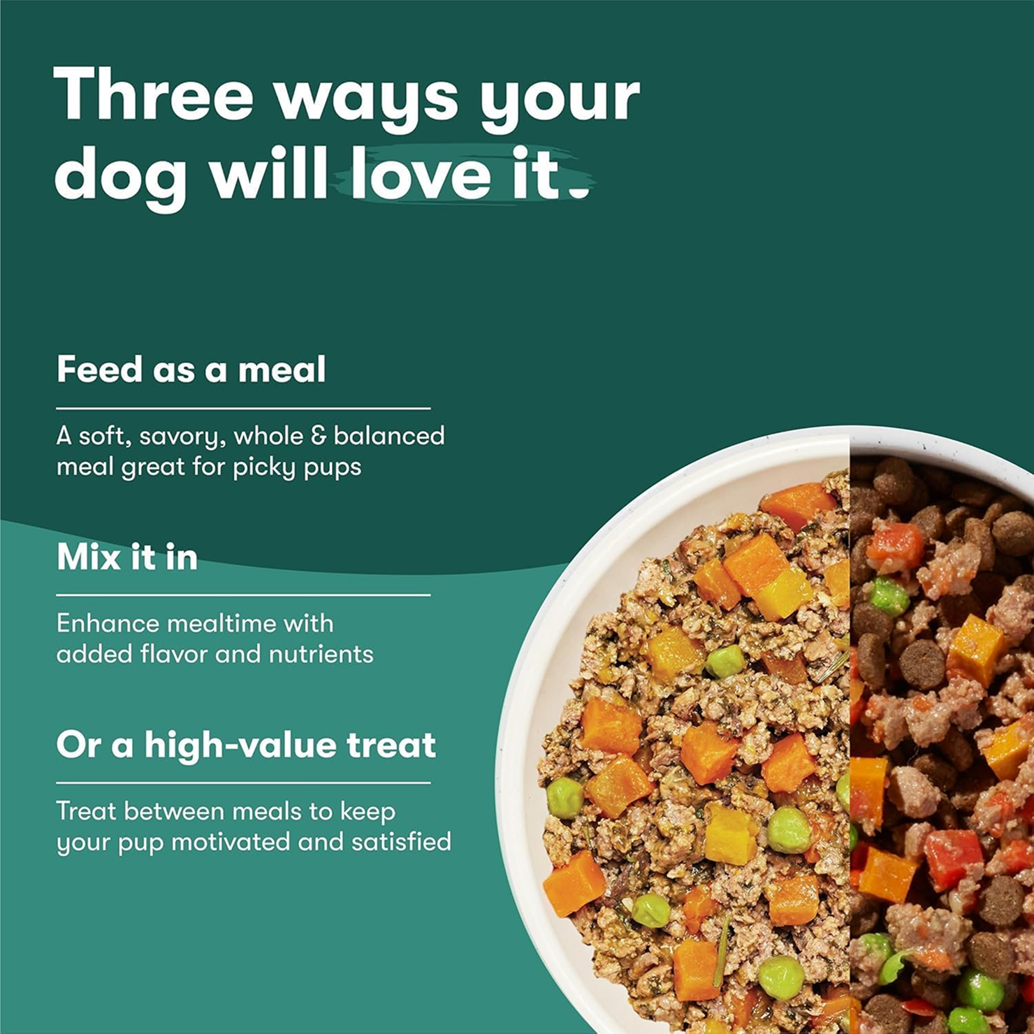 Senior Savory Wet Dog Food