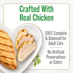 Everyday Adult Wet Cat Food