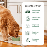 Fresh Chicken Dog Recipe