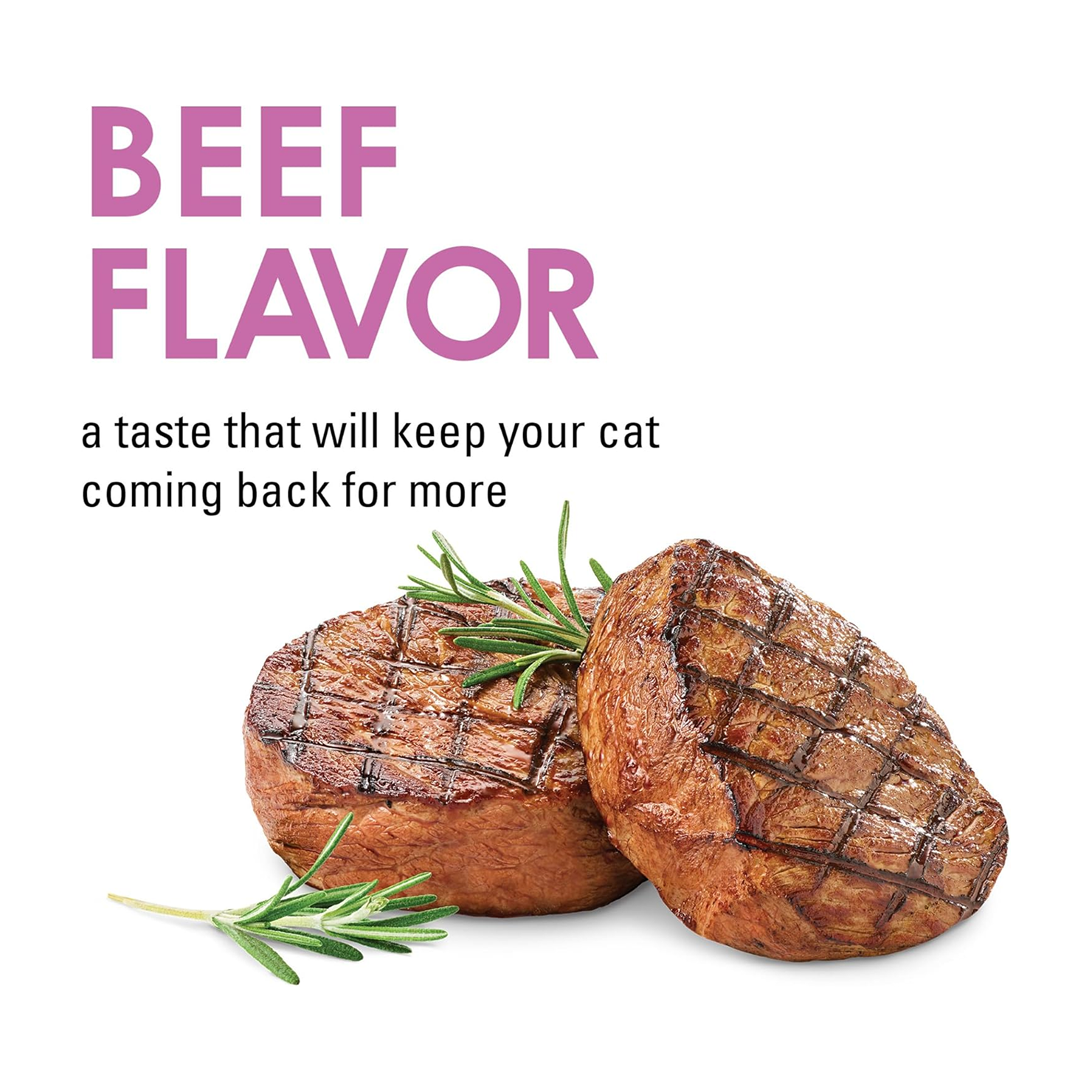 Crunchy Beef Cat Bites