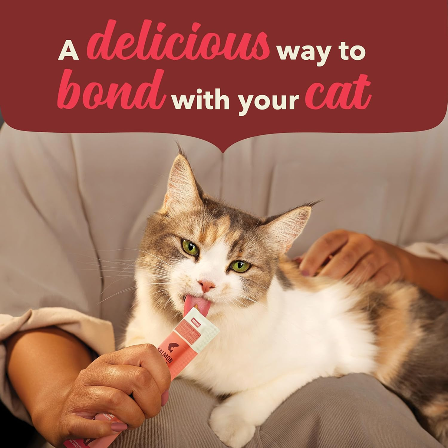 Creamy Salmon Cat Treats