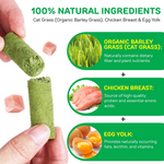 Natural Cat Grass Treat
