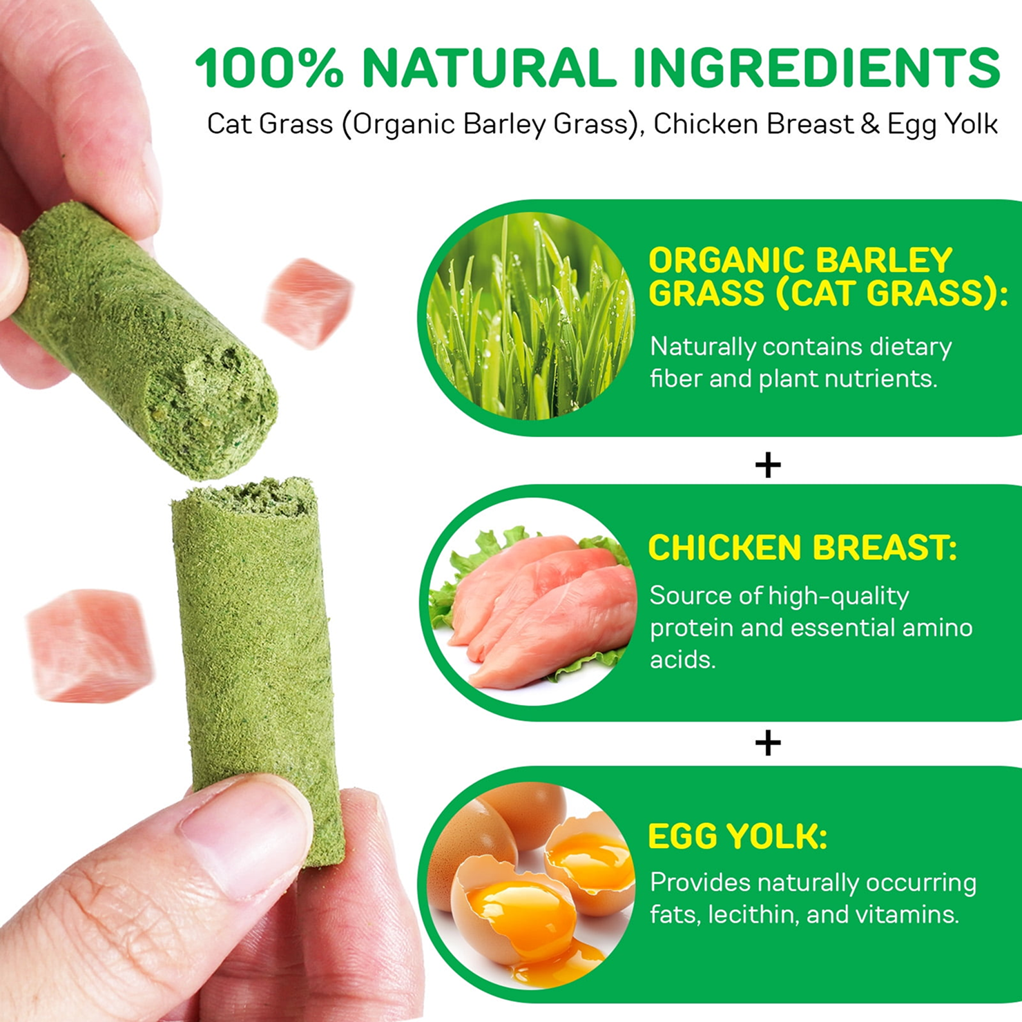 Natural Cat Grass Treat