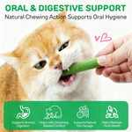 Natural Cat Grass Treat