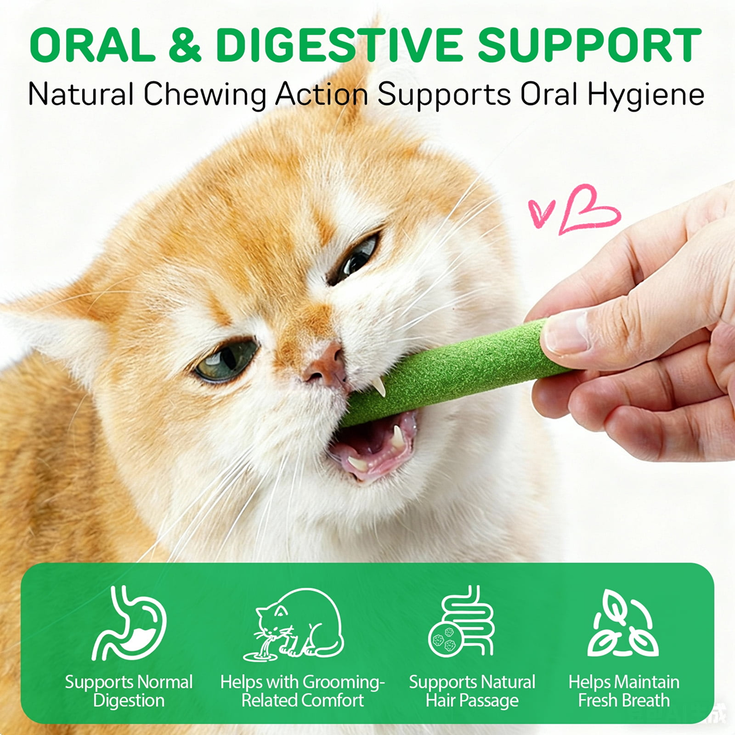 Natural Cat Grass Treat
