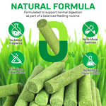 Natural Cat Grass Treat