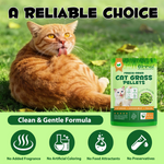 Premium Cat Grass Blend