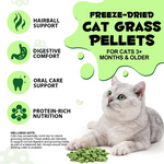 Premium Cat Grass Blend