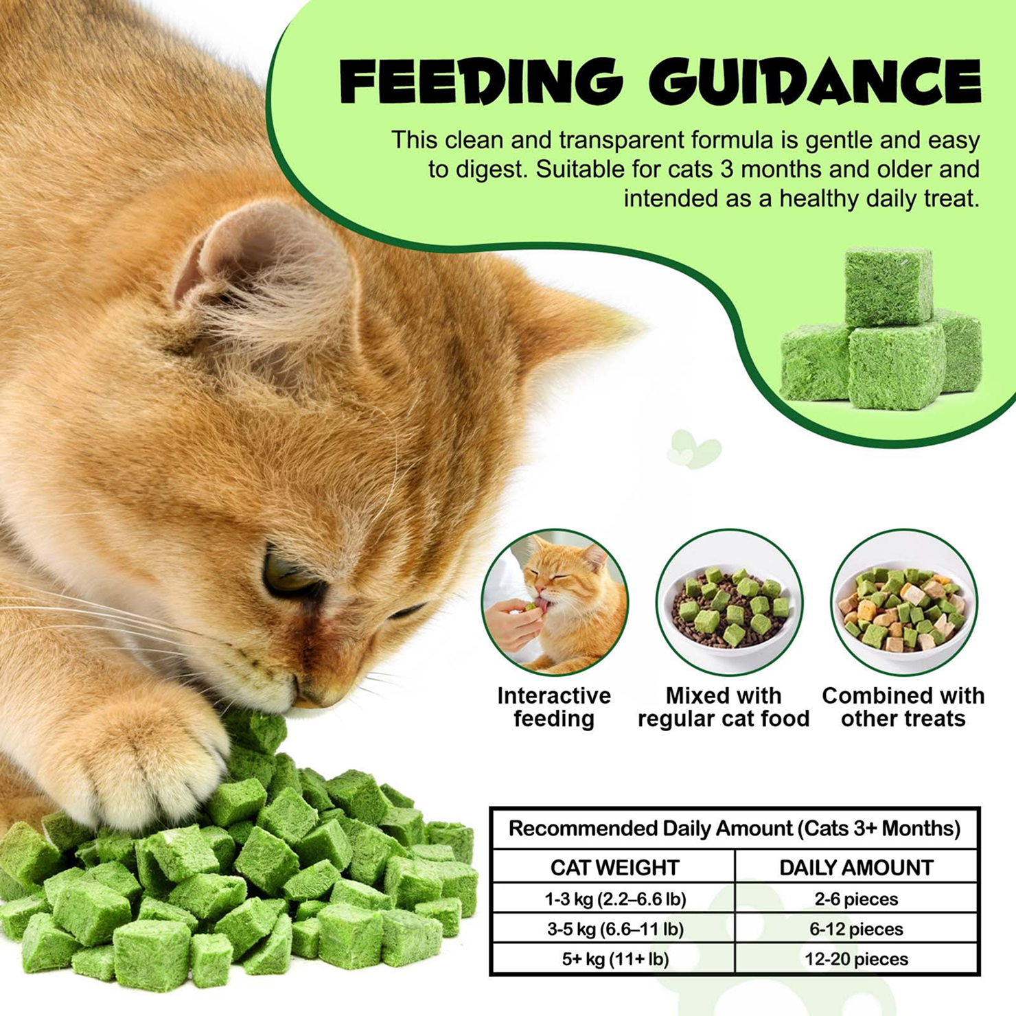 Premium Cat Grass Blend