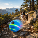 Motion Activated Pet Ball