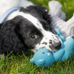 Soft Bear Dog Toy