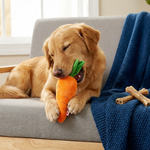 Soft Carrot Dog Toy