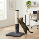 Classic Cat Scratching Post